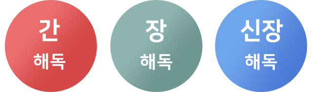 3원해독  모바일용